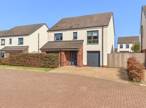 Photo 24- click for photo gallery